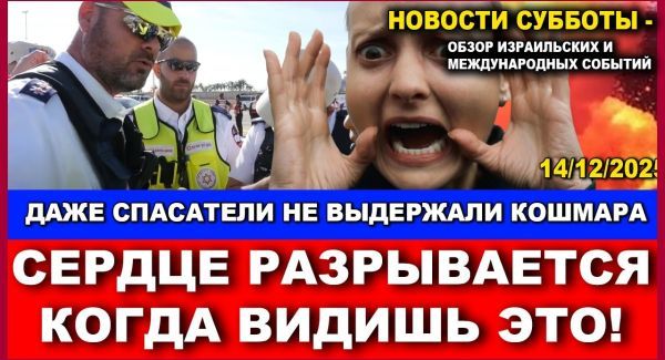 Спасатели первыми прибыли на место трагедии