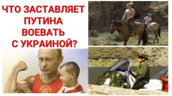 Культ альфа-самца Путина и война в Украине