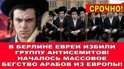 Началось массовое бегство мусульман из Европы! Евреи избили группу антисемитов в Берлине!
