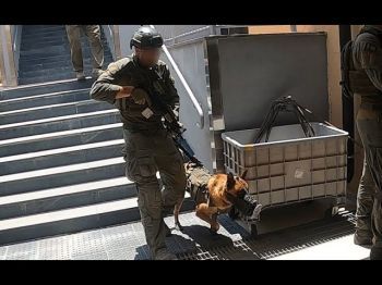 Оперативная съемка полиции: Операция по аресту палестинских террористов в Шхеме.