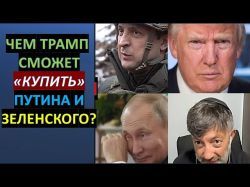 Чем Трамп сможет "купить" Путина и Зеленского?