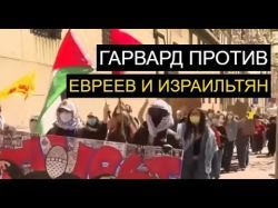 Почему Гарвард борется с Трампом, а не с антисемитизмом
