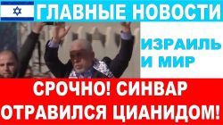 Срочно! Что обнаружили эксперты в крови Синвара! Главные новости дня! 19/10/2024 #новости