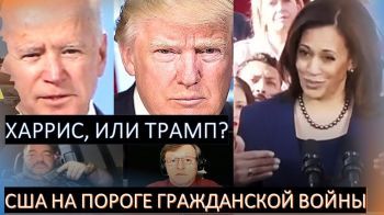 Детектив Стив Дудник: Харрис, или Трамп? США на пороге гражданской войны