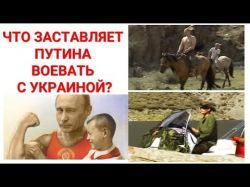Культ альфа-самца Путина и война в Украине