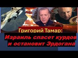 Тамар: Израиль должен спасти курдов и остановить Эрдогана в Сирии